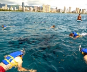 Ocean-sports-aboard-Hawaii-Catamaran