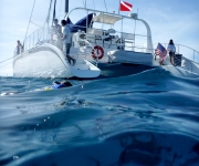 Snorkel-Sail-Waikiki